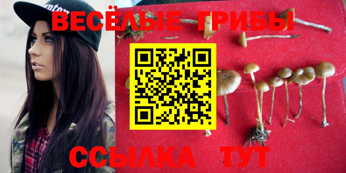 Пермь  Галлюциногенные грибы Cubensis  Вход с VPN 
